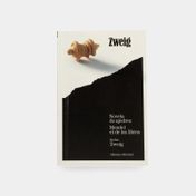 Novela de ajedrez