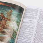 sagrada-biblia-edicion-guadalupana-de-lujo-8-9789583068515