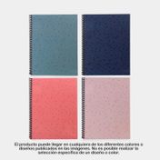 Cuaderno 105 Senfort argollado y cuadriculado de 80 hojas, 4 materias, surtido