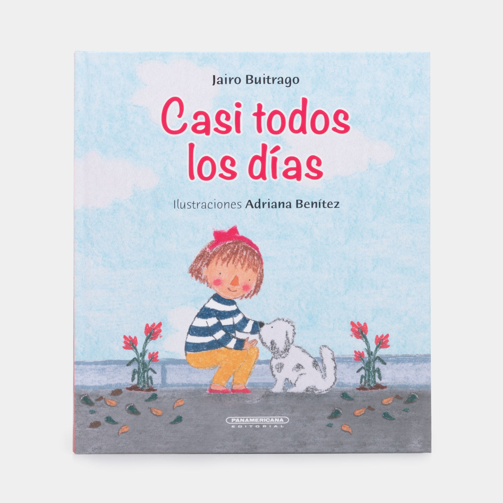 Casi todos los d as panamericana editorial