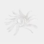 juego-de-24-cucharas-mini-transparentes-763615645683