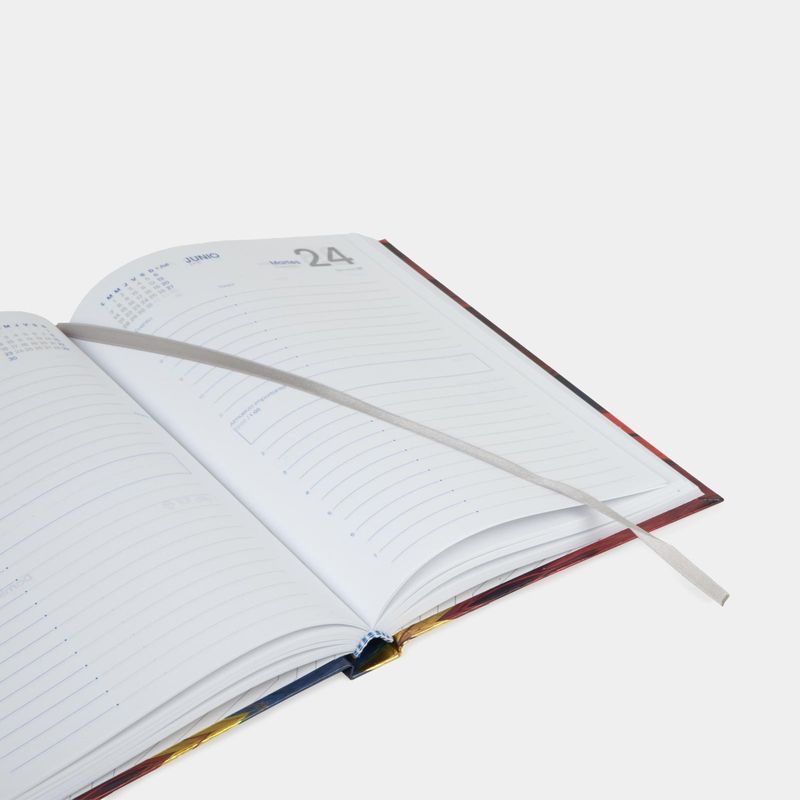 agenda-diaria-practica-2025-diseno-colombia-hojas-3-7701016897464