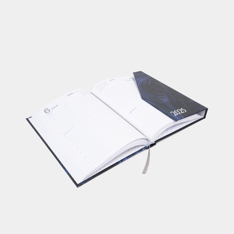 agenda-diaria-practica-2025-diseno-lineas-3-7701016797719