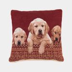 cojin-de-45-x-45-cm-diseno-perritos-7701016704595