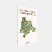 Colorea aves de Cundinamarca