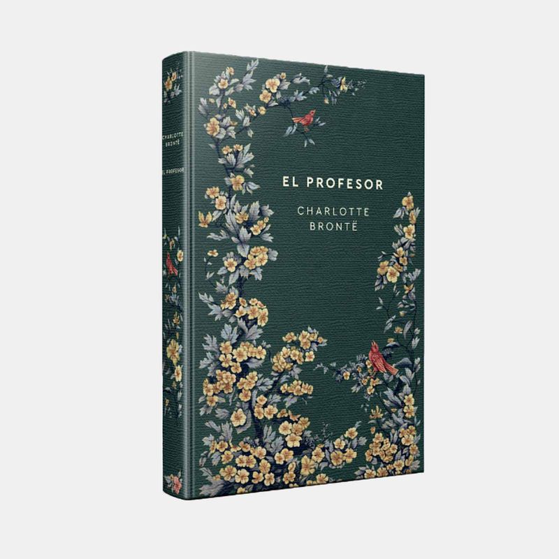 novelas-eternas-tomo-14-el-profesor-9788413293554