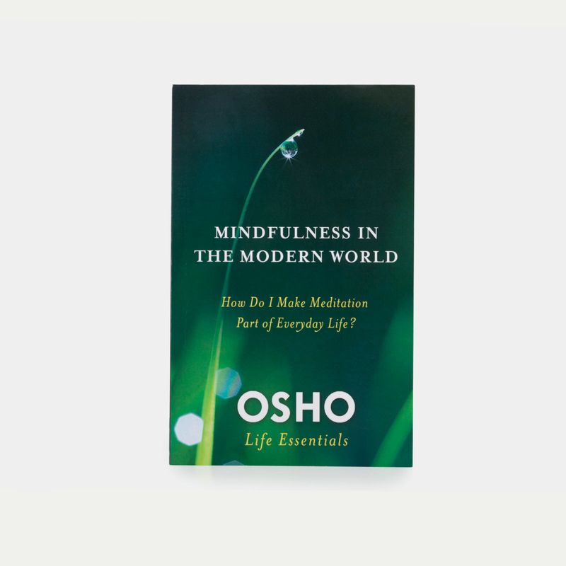 mindfulness-in-the-modern-world-9780312595517