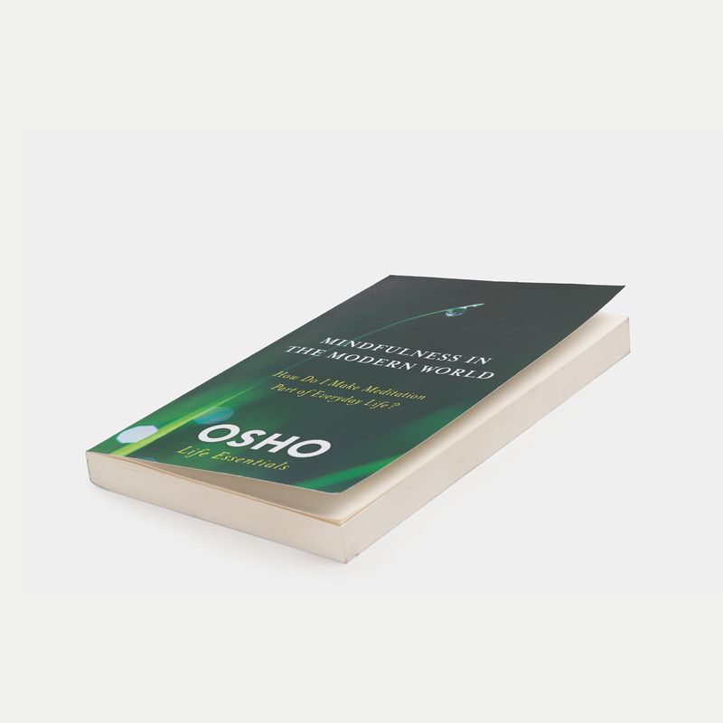 mindfulness-in-the-modern-world-3-9780312595517