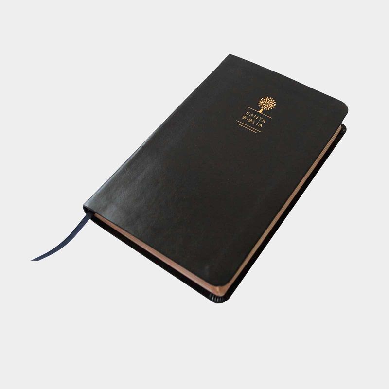 biblia-reina-valera-1960-simil-piel-negra-2-9781644732168