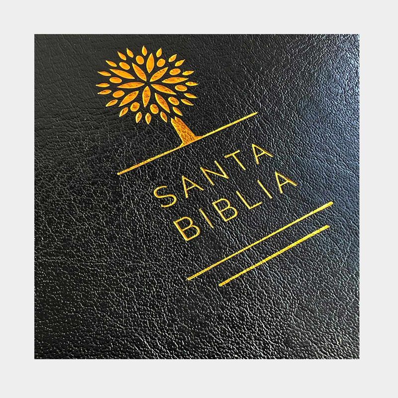 biblia-reina-valera-1960-simil-piel-negra-3-9781644732168