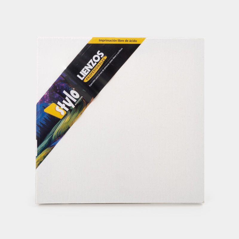 lienzo-con-bastidor-de-20-x-20-cm-680710