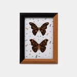 portarretrato-de-21-x-15-7-cm-7701016734721