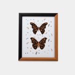 portarretrato-de-28-4-x-23-3-cm-7701016757980