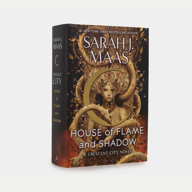house-of-flame-and-shadow-2-9781635574104