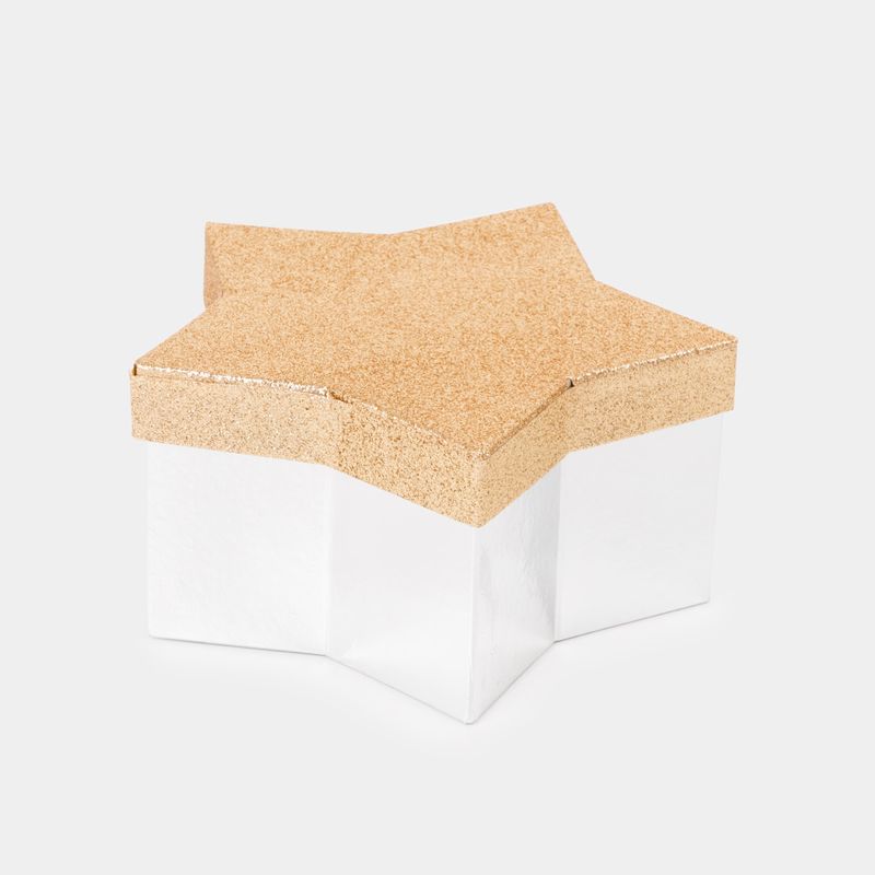 caja-de-regalo-estrella-de-9-5-x-19-cm-escarchada-7701016083911