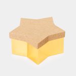caja-de-regalo-estrella-de-10-5-x-23-cm-escarchada-7701016783927