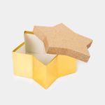 caja-de-regalo-estrella-de-10-5-x-23-cm-escarchada-2-7701016783927