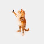 figura-gato-selfie-15-cm-2-7701016757645