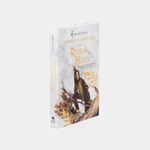 las-felices-aventuras-de-robin-hood-2-9786071441256