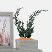 Portarretrato para 2 fotos con planta y portalápiz