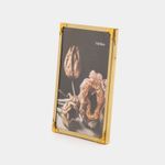 portarretrato-con-borde-dorado-2-7701016780568