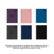 Cuaderno 95 argollado cuadriculado de 160 hojas (surtido)