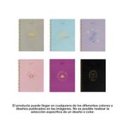 Cuaderno 95 argollado cuadriculado 5 materias de 160 hojas (surtido)