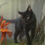 barbiere-fantasy-cats-5-657876
