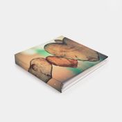 Álbum fotográfico de 25.2 x 25.6 cm con caja