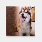 Álbum fotográfico de 33.7 x 33.2 cm con caja