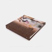 Álbum fotográfico de 33.7 x 33.2 cm con caja