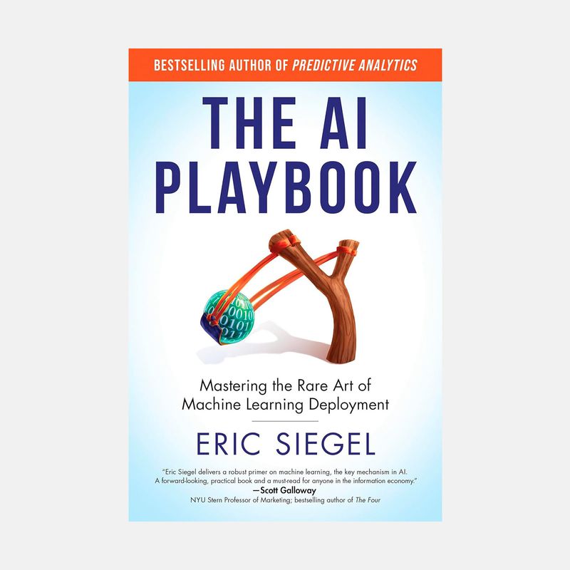 the-ai-playbook-9780262048903