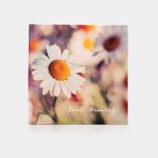 Álbum fotográfico de 33.7 x 33.2 cm con caja
