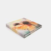 Álbum fotográfico de 33.7 x 33.2 cm con caja