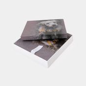 Álbum fotográfico de 25.2 x 25.6 cm con caja