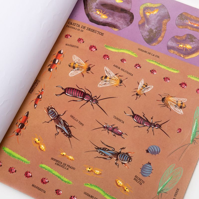 increibles-insectos-4-9781837712564