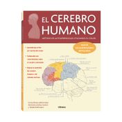 El cerebro