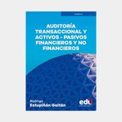 Auditoria transaccional y activos y pasivos financieros y no financieros
