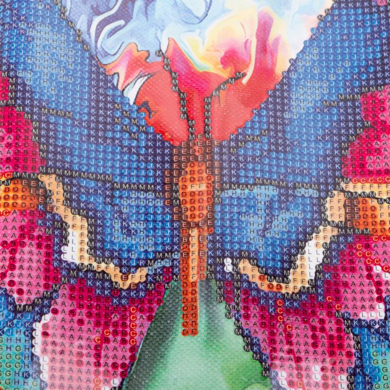 kit-pintura-de-diamante-diseno-mariposa-7701016802055
