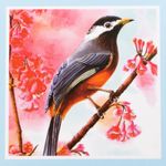 kit-pintura-de-diamante-diseno-pajaro-7701016802062