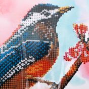 Kit de pintura de diamantes pájaro