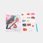 kit-pintura-de-diamante-diseno-pajaro-3-7701016802062