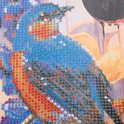 Kit de pintura de diamantes pájaro