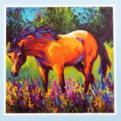 Kit de pintura de diamantes caballo