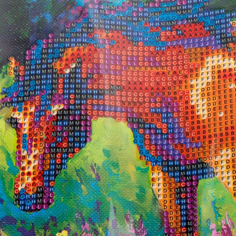 kit-pintura-de-diamante-diseno-caballo-2-7701016802116