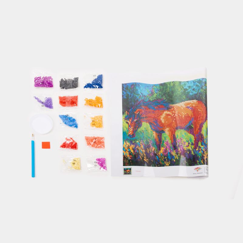 kit-pintura-de-diamante-diseno-caballo-3-7701016802116