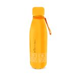 botella-de-568-ml-el-reuy-leon-amarilla-2-7708760415678
