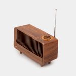 parlante-con-radio-y-bluetooth-de-10-w-rms-2-7701016703399