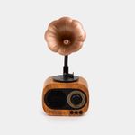 parlante-con-radio-y-bluetooth-vitrola-de-5-w-rms-7701016703422