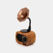 Parlante con radio y Bluetooth vitrola de 5 W RMS